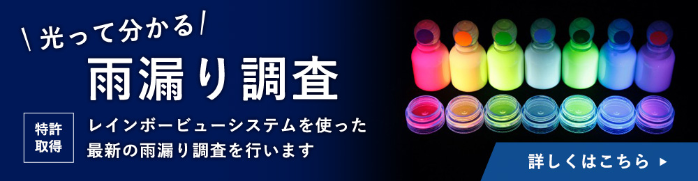 レインボービューシステム